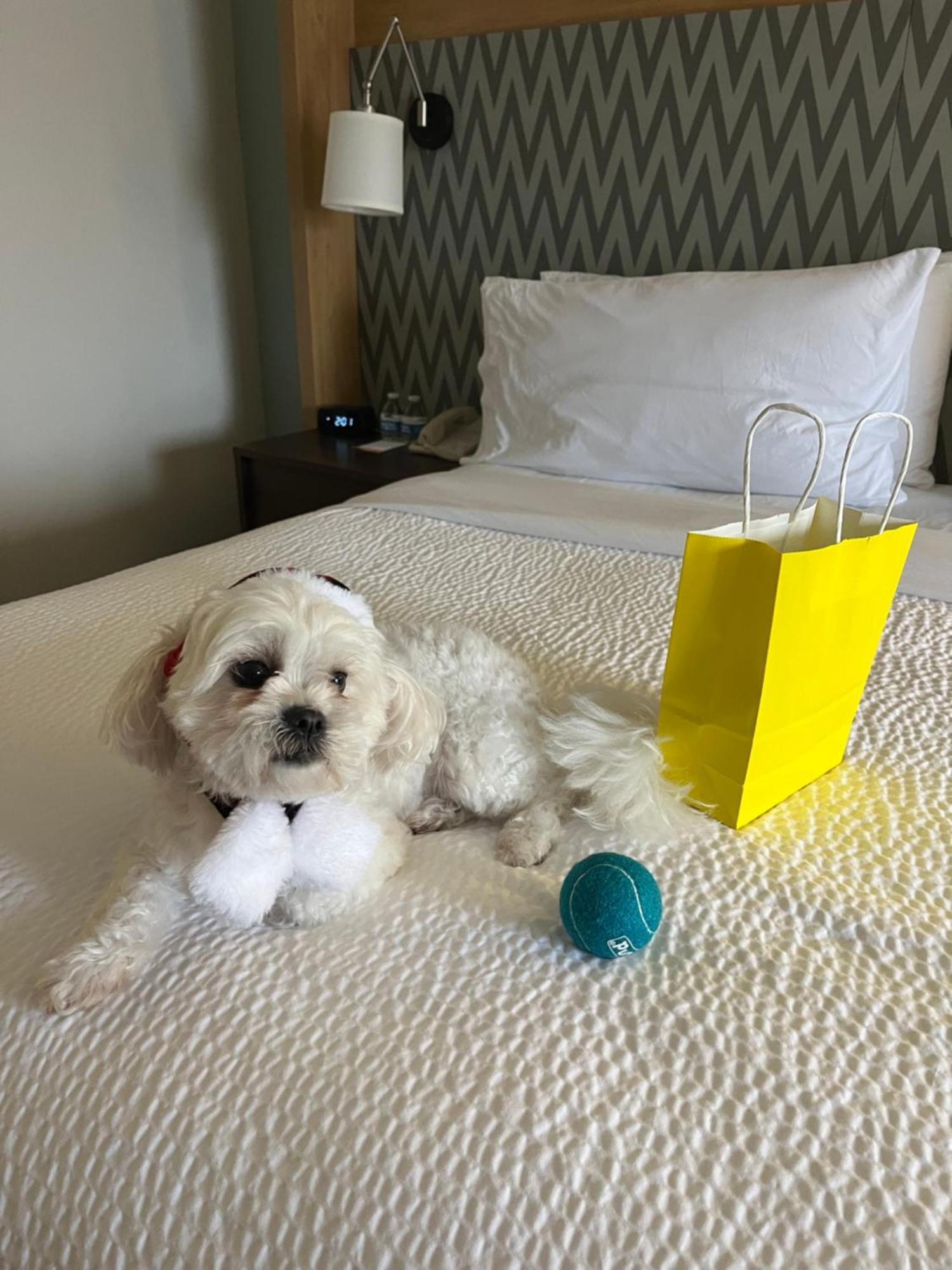 Holiday Inn Orlando International Airport By Ihg Экстерьер фото